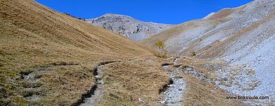 Souliers, des lacets...