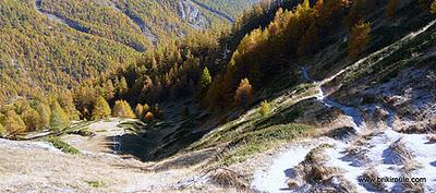 Souliers, des lacets...