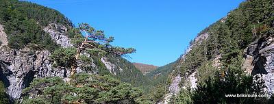 Souliers, des lacets...