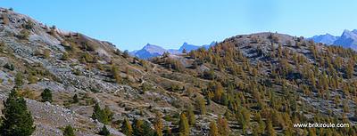 Souliers, des lacets...