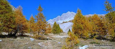 Souliers, des lacets...