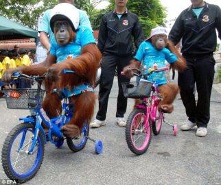Du n’importe quoi parce que c’est Dimanche