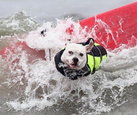 Du n’importe quoi parce que c’est Dimanche