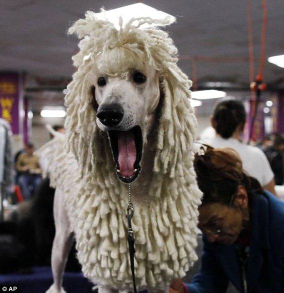 Du n’importe quoi parce que c’est Dimanche