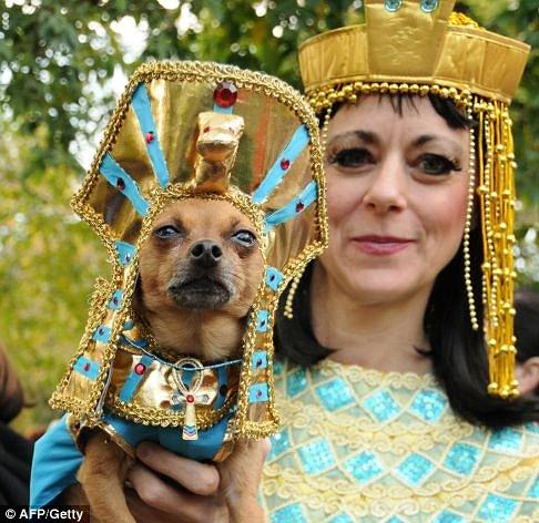 Du n’importe quoi parce que c’est Dimanche