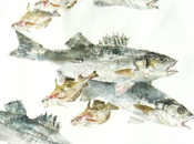 L’empreinte poisson. L’art japonais Gyotaku
