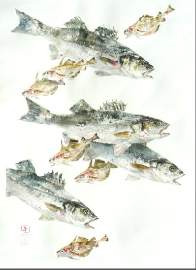 L’empreinte de poisson. L’art japonais du Gyotaku 魚拓