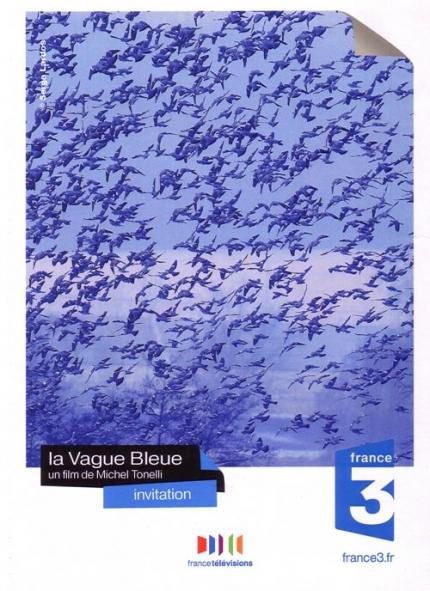 oiseaux,écologie,aquitaine,landes,faune,automne