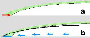 évaporation dans le cas d'une ligne de contact mobile (a) ou immobile (b)