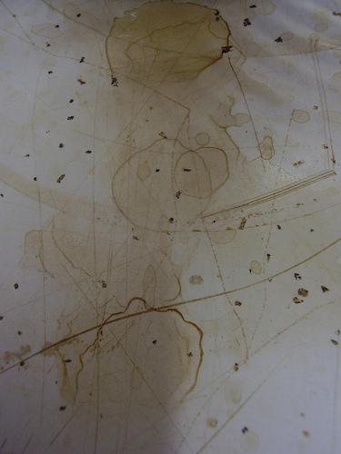 coffee stains on countertop