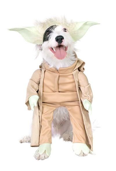 dogyoda gnd Des costumes geeks, pour chiens ??