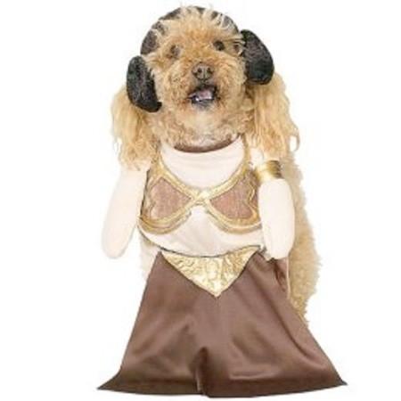 dogleia gnd Des costumes geeks, pour chiens ??