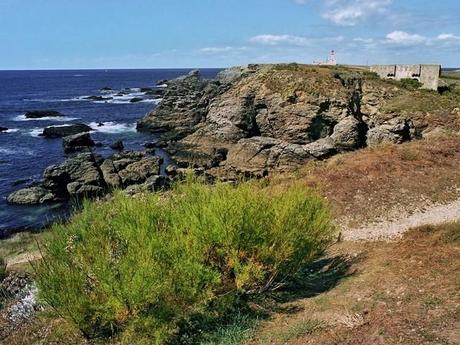 Paysage désolé, France Belle-île Paysage désolé, France Belle-île