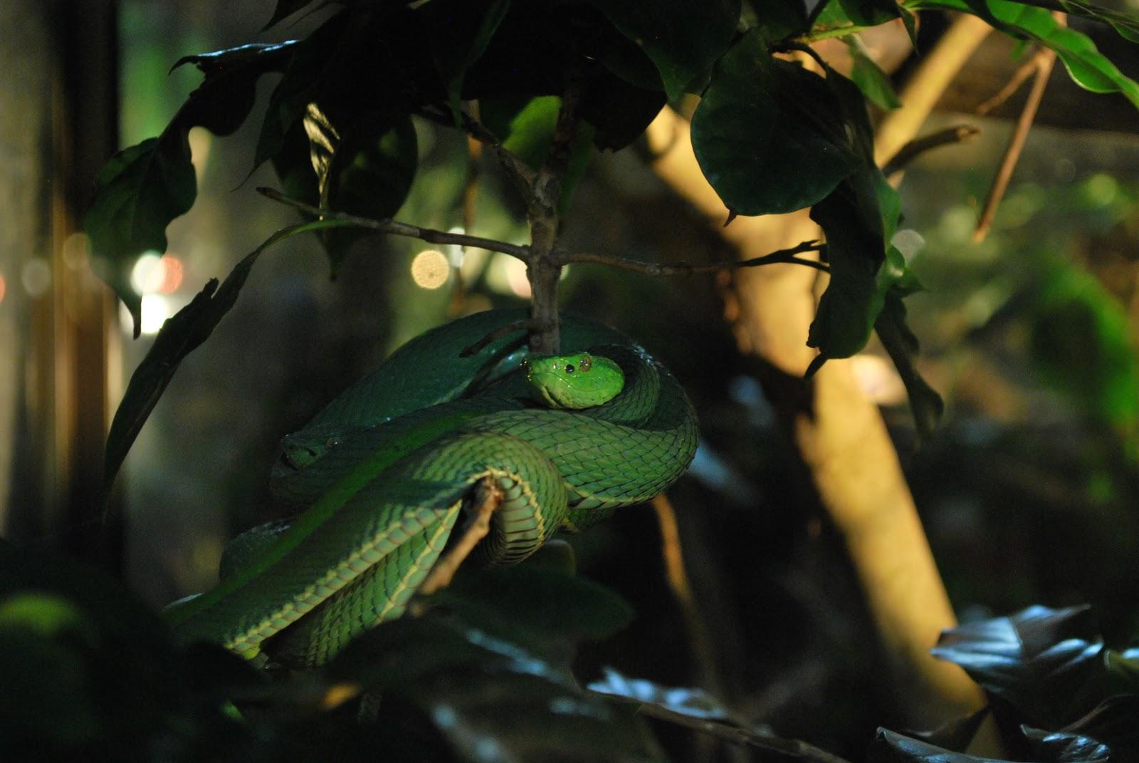 Bye bye Fortuna! Bonjour Monteverde!