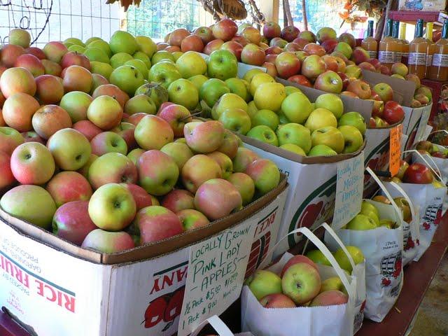Une Journée a Sunrise