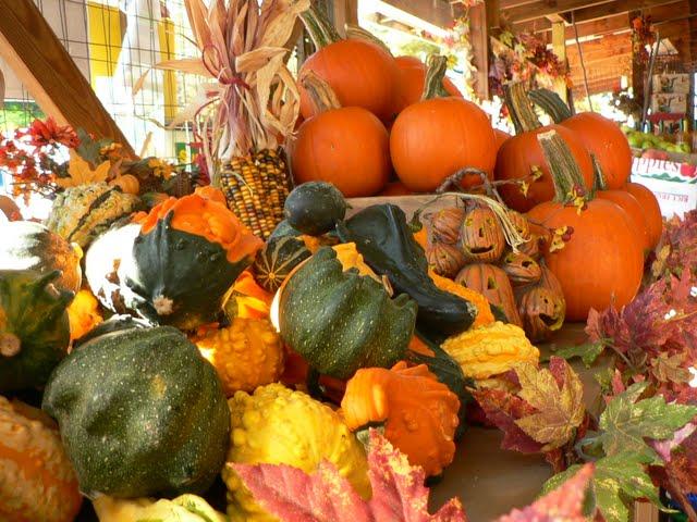 Une Journée a Sunrise