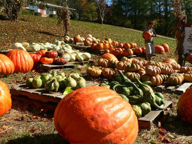 Une Journée a Sunrise