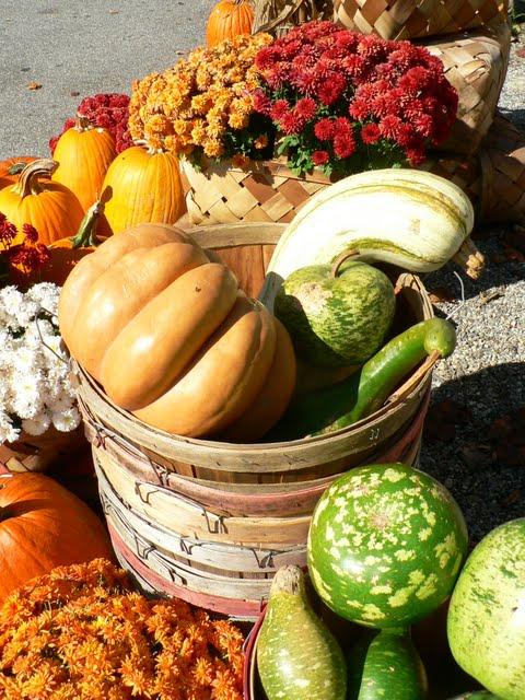 Une Journée a Sunrise