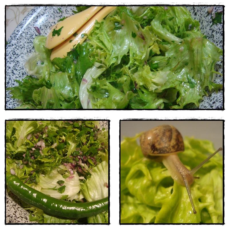 La reine des glaces à la motte