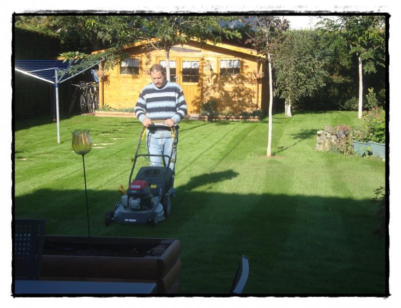 Nouveau gazon dans le jardin, octobre 2011