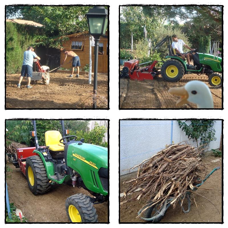 Nouveau gazon dans le jardin, octobre 2011