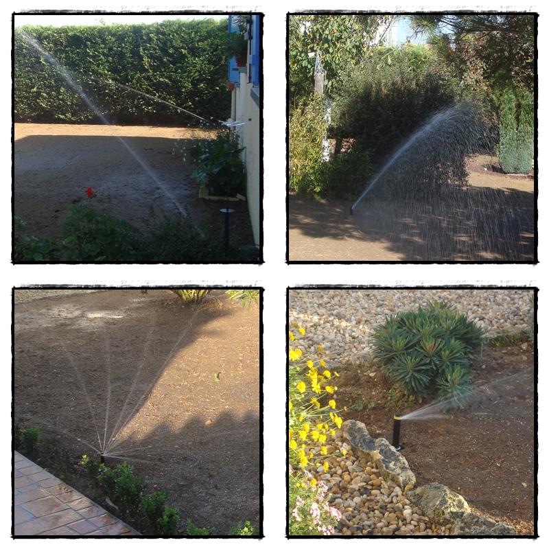 Nouveau gazon dans le jardin, octobre 2011