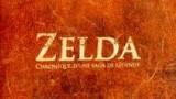 [INSOLITE] livre Zelda dont envie d'être héros