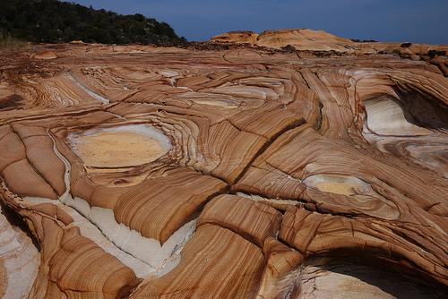 Le Bouddi National Park