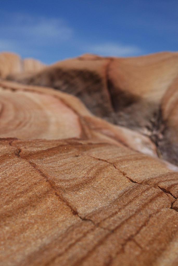 Le Bouddi National Park