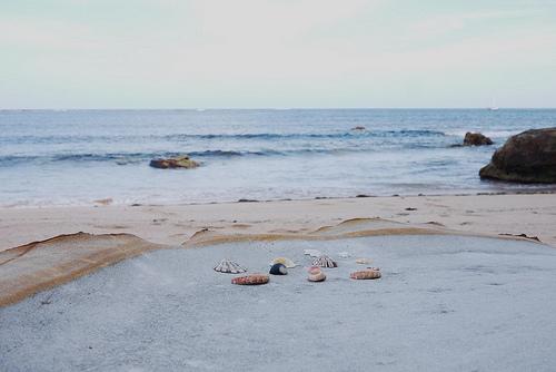 Le Bouddi National Park
