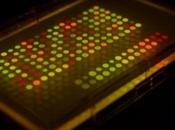 Coli message crypté pour services secrets