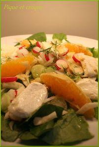 salade fenouil 2