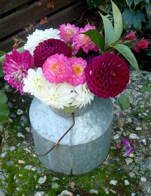 Me voilà de retour au jardin.L'automne avance et c'est la...