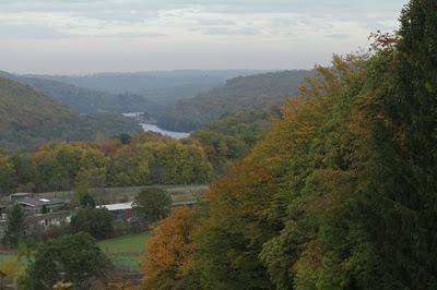 Bois de Pierre-la-Treiche aux couleurs de l'automne