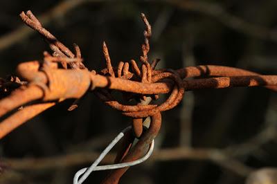 Bois de Pierre-la-Treiche aux couleurs de l'automne