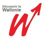 Région wallonne : primes pour les économies d'énergie