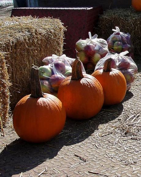 Célébrons l'automne et la gourmandise !!! DSC04240