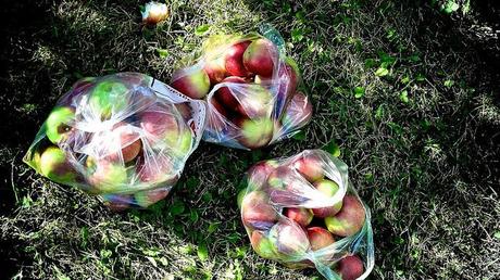 Célébrons l'automne et la gourmandise !!! DSC04154