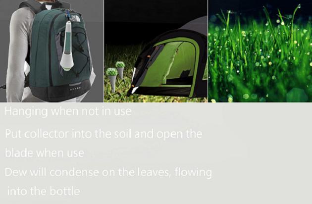 Succulent – Un capteur de rosée durable