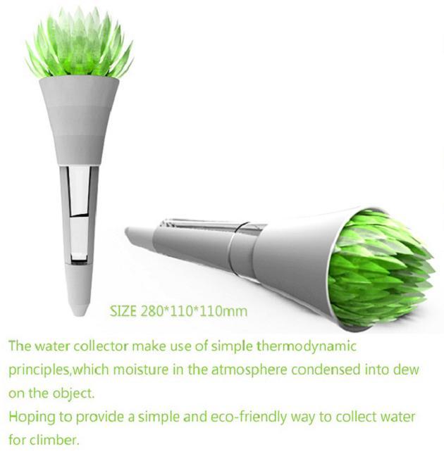 Succulent – Un capteur de rosée durable