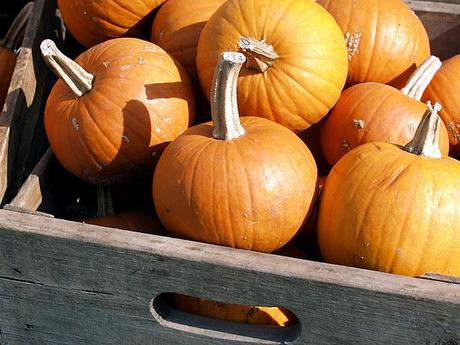 Quatre produits de beauté à faire soi-même à la maison avec des citrouilles