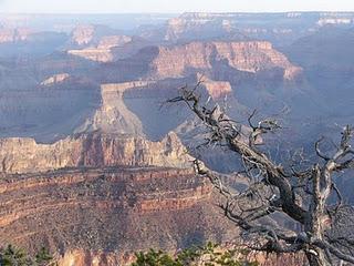 Parc national du Grand Canyon  -  USA