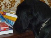 J'ai piqué bricole maîtresse