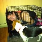 thumbs les filles 006 Les femmes... (37 photos)