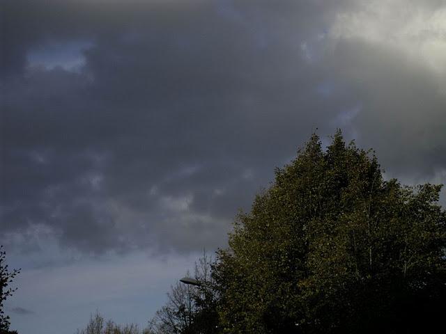 ici et maintenant  en ailes et en iles