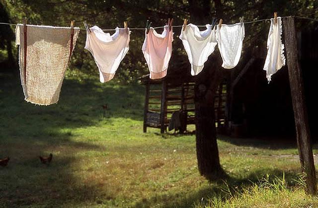 ici et maintenant  en ailes et en iles