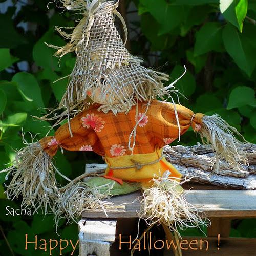 Pumkin pie au lait de coco