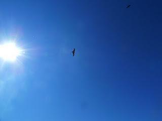 Paix de l'expérience ultime