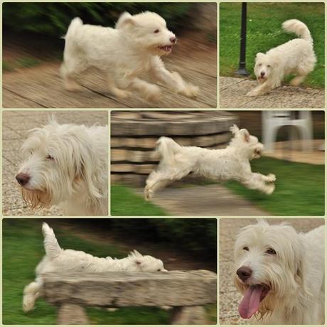 projet 52 – 43-52 projet 52 – 43-52