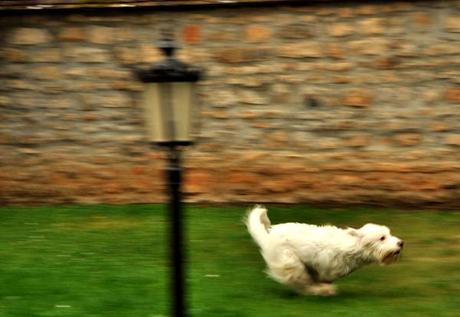 projet 52 – 43-52 projet 52 – 43-52